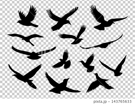 Black flying birds flock silhouette, isolated illustration Black flying birds flock silhouette, isolated illustration 143765633