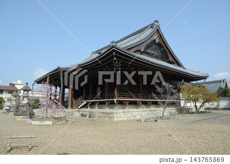 山科別院長福寺 本堂 京都市山科区竹鼻サイカシ町 山科別院長福寺 本堂 京都市山科区竹鼻サイカシ町 143765869