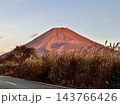 ススキ越しに見る朝色の富士山 143766426