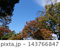 Famous N Seoul Tower landmark and urban skyline view from Namsan Mountain 143766847