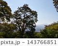 Famous N Seoul Tower landmark and urban skyline view from Namsan Mountain 143766851