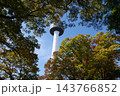 Famous N Seoul Tower landmark and urban skyline view from Namsan Mountain 143766852
