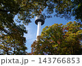 Famous N Seoul Tower landmark and urban skyline view from Namsan Mountain 143766853