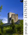 Landstejn castle standing on green hill in Jihocesky kraj 143767505