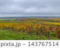 Vert Toulon, Marne vineyard landscape in autumn 143767514