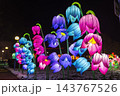 Colorful illuminated floral lanterns glowing at night festival 143767526