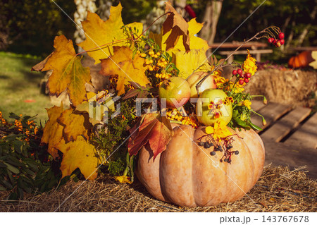 Bright autumn bouquet from autumn leaves and fruits in a pumpkin on the straw 143767678