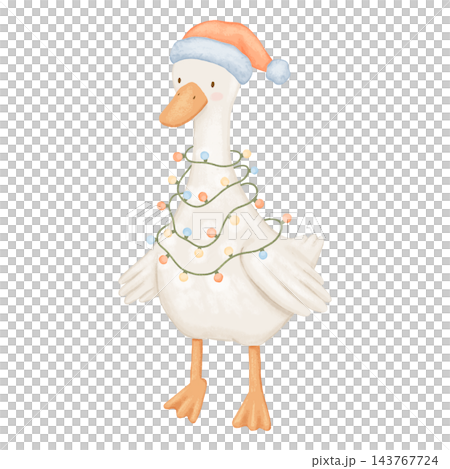 Cute Christmas goose, hand painted isolated illustration. Farm bird in santa hat and lights. Baby watercolour drawing Cute Christmas goose, hand painted isolated illustration. Farm bird in santa hat and lights. Baby watercolour drawing 143767724