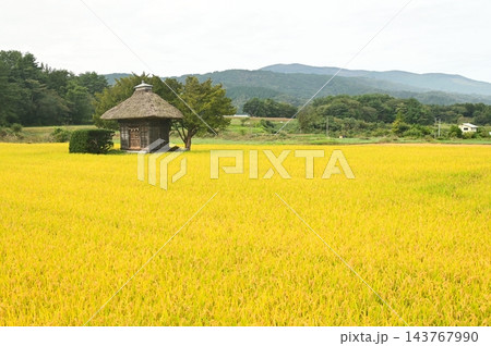 遠野遺産第37号荒神神社 遠野遺産第37号荒神神社 143767990