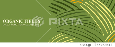 Tea matcha field background with green, cream and yellow brush lines. Curved crop rows at right on an olive ground with copy space. Aerial vector backdrop for tea website banner or product advert 143768631