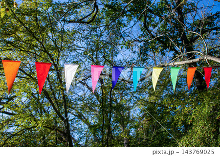 Decorative colourful party pennant string for birthday celebration, festival, carnival and fair Decorative colourful party pennant string for birthday celebration, festival, carnival and fair 143769025