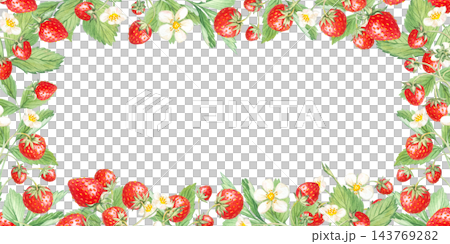 Strawberry wide horizontal frame border with white flowers and leaves. Hand drawn watercolor botanical illustration isolated element. Panoramic background design for tea packaging clip art Strawberry wide horizontal frame border with white flowers and leaves. Hand drawn watercolor botanical illustration isolated element. Panoramic background design for tea packaging clip art 143769282