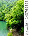 【神奈川県】新緑の木々に囲まれたエメラルドグリーンの湖面 143769326