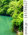 【神奈川県】緑の木々に囲まれたエメラルドグリーンの石小屋湖 143769327