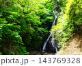 【神奈川県】新緑に包まれた滝 143769328