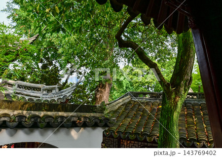 Close-up of the traditional, Chinese classic roof of Chinese building with trees. Chinese historical building with Chinese garden. Travel and nature scene. Building exterior. 143769402