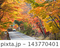 軽井沢 千ヶ滝 軽井沢 千ヶ滝 143770401