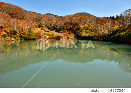 澄んだ朝空と地獄沼の鮮やかな紅葉湧き出る温泉の風景 八甲田山 澄んだ朝空と地獄沼の鮮やかな紅葉湧き出る温泉の風景 八甲田山 143770444