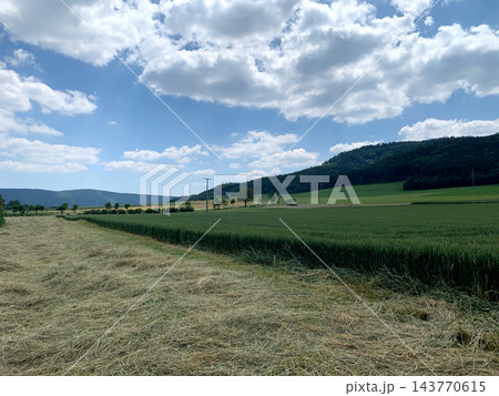 Bright green fields stretch across the landscape under a clear blue sky with fluffy white clouds on a warm afternoon Bright green fields stretch across the landscape under a clear blue sky with fluffy white clouds on a warm afternoon 143770615