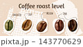 Coffee beans stages. 3d natural coffee bean roast process cafe infographic poster green brown dark arabic beans light medium drink beverage degree realistic vector illustration 143770629