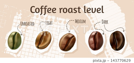 Coffee beans stages. 3d natural coffee bean roast process cafe infographic poster green brown dark arabic beans light medium drink beverage degree realistic vector illustration Coffee beans stages. 3d natural coffee bean roast process cafe infographic poster green brown dark arabic beans light medium drink beverage degree realistic vector illustration 143770629
