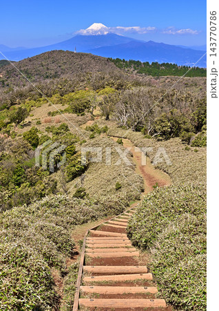伊豆半島の伊豆山稜線歩道 小達磨山の笹原の縦走路から望む富士山 伊豆半島の伊豆山稜線歩道 小達磨山の笹原の縦走路から望む富士山 143770786