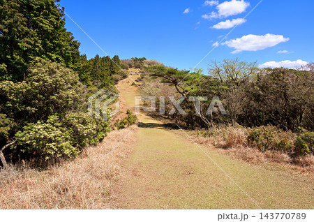伊豆半島の伊豆山稜線歩道 春の防火帯の登山道 伊豆半島の伊豆山稜線歩道 春の防火帯の登山道 143770789