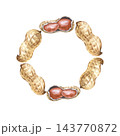 Watercolor peanut wreath on an isolated background. Round botanical frame made of walnut shells and kernels. 143770872
