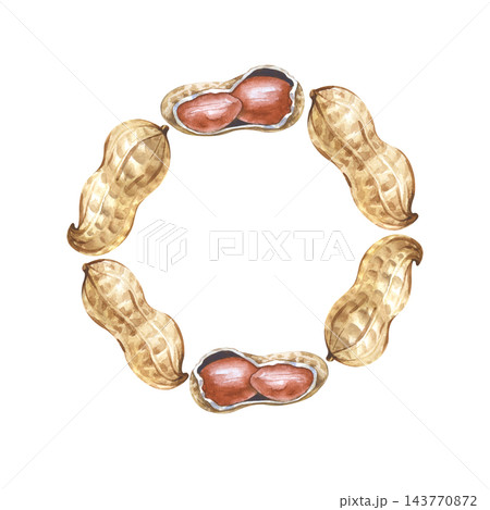 Watercolor peanut wreath on an isolated background. Round botanical frame made of walnut shells and kernels. 143770872