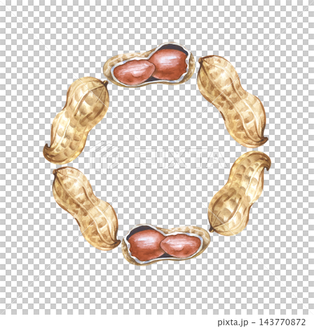 Watercolor peanut wreath on an isolated background. Round botanical frame made of walnut shells and kernels. 143770872