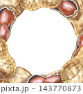 Watercolor square peanut frame on an isolated background. A frame with whole and chipped nuts with an empty place to insert 143770873