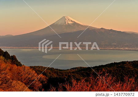 静岡県伊豆市 だるま山高原レストハウス展望台からの朝の富士山 静岡県伊豆市 だるま山高原レストハウス展望台からの朝の富士山 143770972
