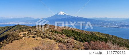 伊豆半島の伊豆山稜線歩道 金冠山山頂から望む富士山のパノラマ 伊豆半島の伊豆山稜線歩道 金冠山山頂から望む富士山のパノラマ 143770981