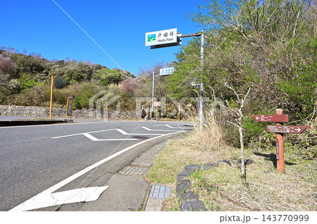 伊豆半島の伊豆山稜線歩道 静岡県道18号修善寺戸田線 春の戸田峠 伊豆半島の伊豆山稜線歩道 静岡県道18号修善寺戸田線 春の戸田峠 143770999