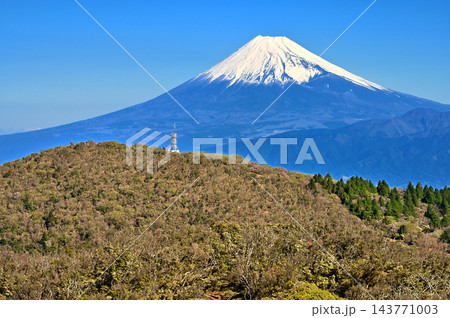 伊豆半島の伊豆山稜線歩道 小達磨山より望む雪化粧の富士山 伊豆半島の伊豆山稜線歩道 小達磨山より望む雪化粧の富士山 143771003