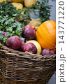 Autumn Harvest Still Life with Pumpkins and Apples. Farmer's market stand with fresh vegetables and fruits. Apples and pumpkin in bicycle basket. Healthy food background. October harvest. Fall harvest 143771220