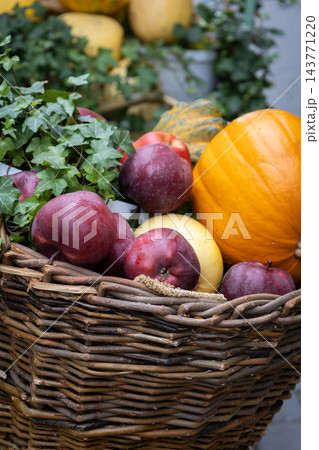 Autumn Harvest Still Life with Pumpkins and Apples. Farmer's market stand with fresh vegetables and fruits. Apples and pumpkin in bicycle basket. Healthy food background. October harvest. Fall harvest Autumn Harvest Still Life with Pumpkins and Apples. Farmer's market stand with fresh vegetables and fruits. Apples and pumpkin in bicycle basket. Healthy food background. October harvest. Fall harvest 143771220