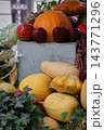 Autumn Harvest Still Life with Pumpkins, Apples and Squash. Farmer's market stand with fresh vegetables and fruits. Healthy food background. Pumpkin, apples, cabbage and squash in basket. 143771296
