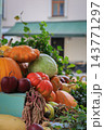 Autumn Harvest Still Life with Pumpkins, Apples and Squash. Farmer's market stand with fresh vegetables and fruits. Healthy food background. Pumpkin, apples, cabbage and squash in basket.  143771297