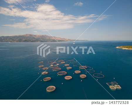 Circular fish pens cluster offshore for fish farming in open water. Floating aquaculture cages and marker buoys sit below cloud streaked sky, with coastal mountains on horizon, forming marine farm. Circular fish pens cluster offshore for fish farming in open water. Floating aquaculture cages and marker buoys sit below cloud streaked sky, with coastal mountains on horizon, forming marine farm. 143772328