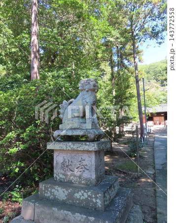 備前国総社宮、創建年代は平安時代と推定、多くの神社のご祭神を合祀した神社、岡山県岡山市中区祇園、狛犬 備前国総社宮、創建年代は平安時代と推定、多くの神社のご祭神を合祀した神社、岡山県岡山市中区祇園、狛犬 143772558
