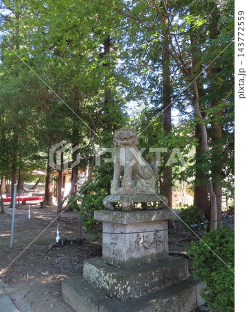 備前国総社宮、創建年代は平安時代と推定、多くの神社のご祭神を合祀した神社、岡山県岡山市中区祇園、狛犬 備前国総社宮、創建年代は平安時代と推定、多くの神社のご祭神を合祀した神社、岡山県岡山市中区祇園、狛犬 143772559