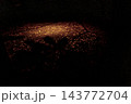 夜の紅葉した落葉 143772704