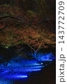照明されたかえで紅葉と仮想の川 143772709