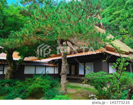 美濃地屋敷 茅葺屋根の母屋の中庭 美濃地屋敷 茅葺屋根の母屋の中庭 143773210