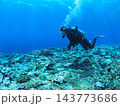 南国の海でスキューバダイビング サンゴ礁の上を泳ぐダイバー 西表島 143773686