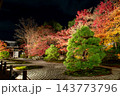 夜の枯山水と紅葉のライトアップ 143773796