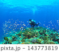 南国の海で体験ダイビング 熱帯魚とサンゴ礁に囲まれるダイバー 西表島 143773819