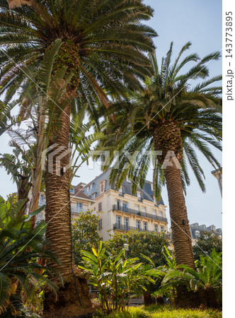 Elegant european building with classic architecture framed by palm trees in sunny coastal city street scene 143773895