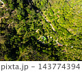 Top view forest green nature background 143774394